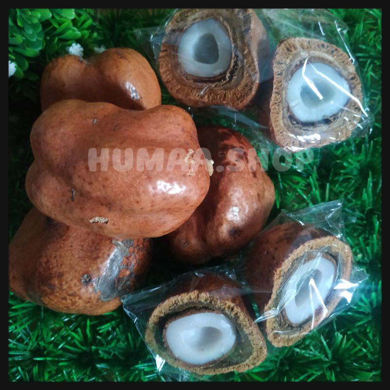 

Buah Zuriat Mesir utuh dan belah