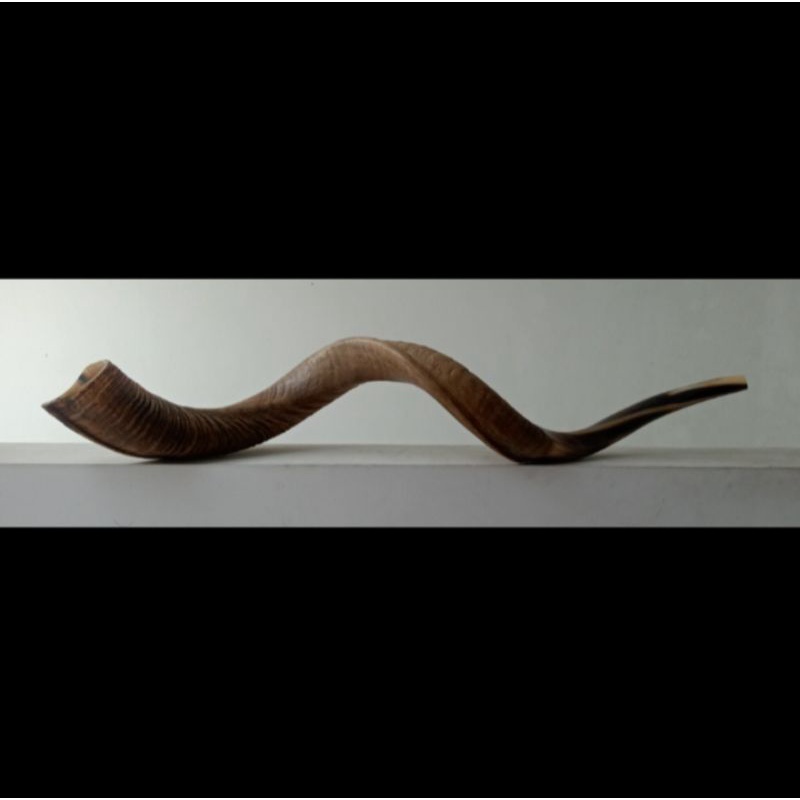 yemenite shofar super