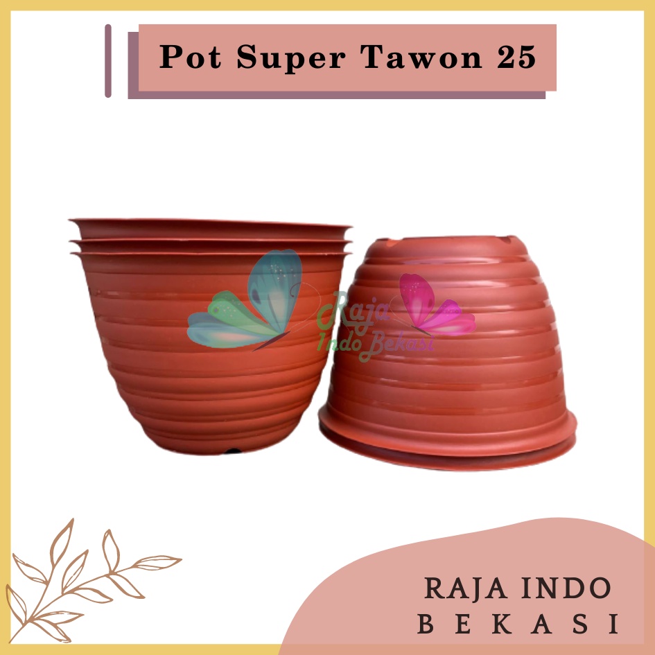 Pot Super Tawon 25 Merah BataTerracota Terracotta Merah Coklat Garden Of Love Pot Tawon Putih Tirus Pot Tawon Pirus 18 20 21 25 27 - Pot Tawon 25