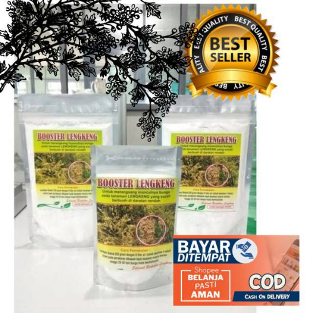BOSTER KELENGKENG - LENGKENG - KLENGKENG BERAT 250 GRAM