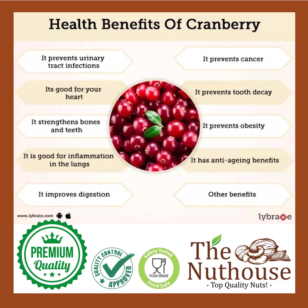 100gr Dried Cranberry / Buah Kranberi Kering [Organic Premium Fruits]