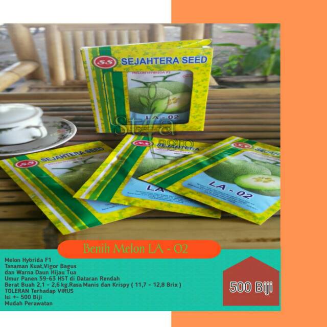 Benih melon LA - 02