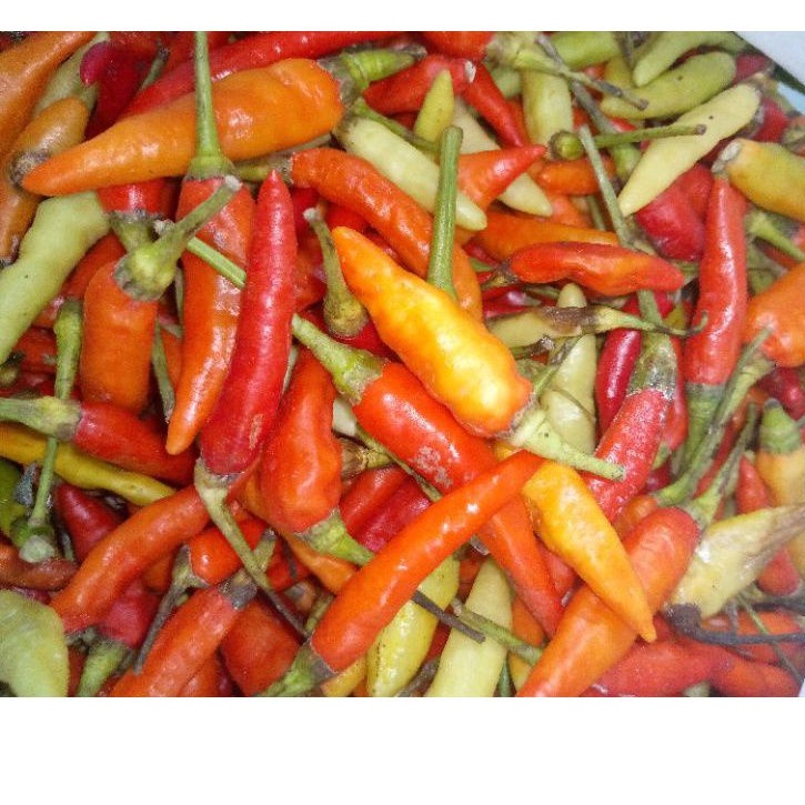 CABE RAWIT MERAH FRESH 1KG