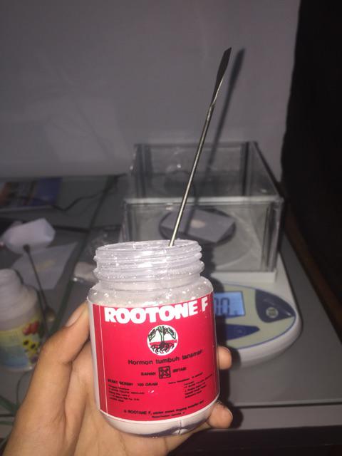 Zat Pengatur Tumbuh (zpt) Rootone F