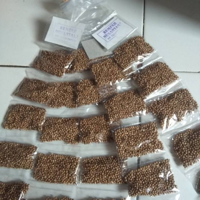 Jual Bumbu Masak Kemasan Botol 250gr Dasar Putih Kab
