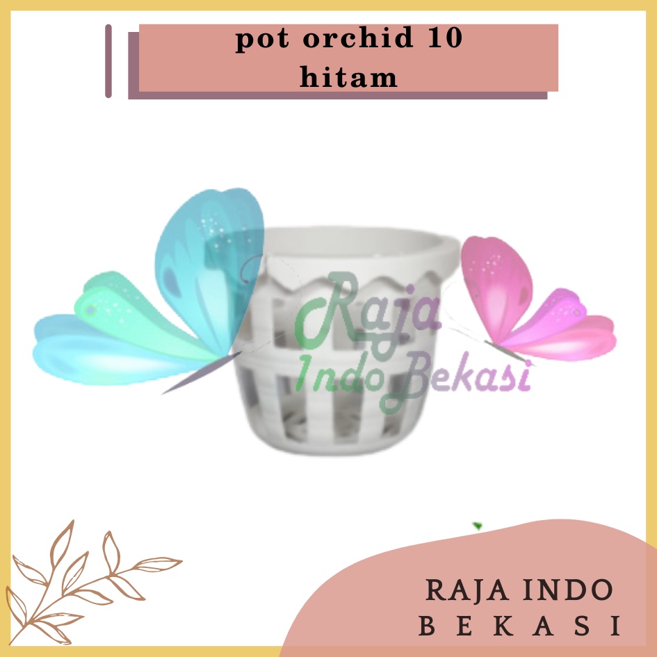 Pot Anggrek Orchid 10cm Putih Pot Anggrek Plastik 10 Cm Murah / Pot Anggrek Tempel Sabut Kelapa Kayu