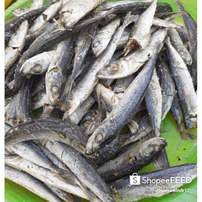 

ikan cuekk