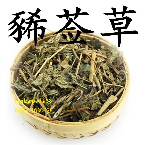 

Xi xian cao Siegesbeckia orientalis L. 100 gram