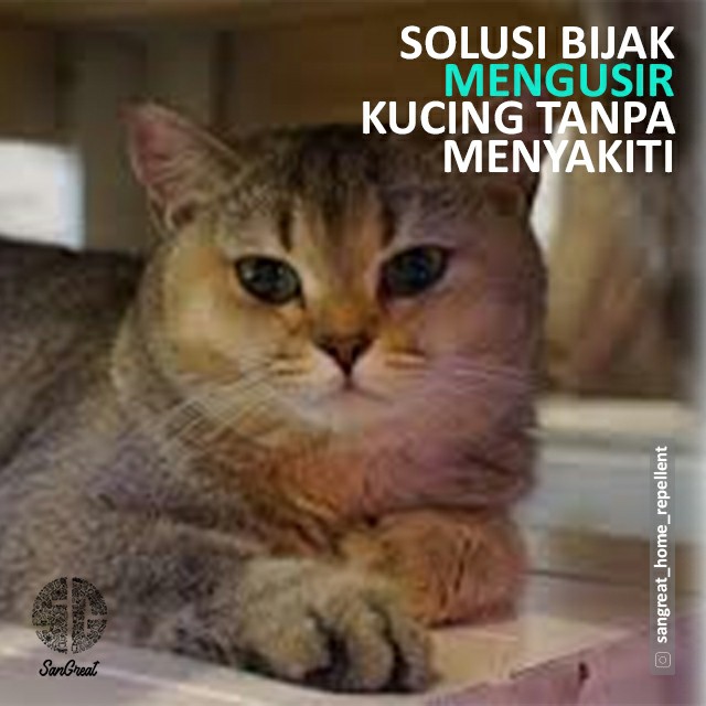 Semprotan anti kucing dan kapur barus anti kucing organik alat pengusir kucing  kampung liar bandel pup berak pipis sembarangan SanGrat Bye Bye Cat gel 100 gr dan spray 100 ml aman natural