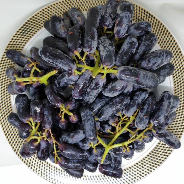Anggur Moondrop 1Kg