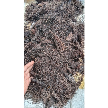 Akar Kadaka/Cacah Pakis Media Tanam Anggrek.