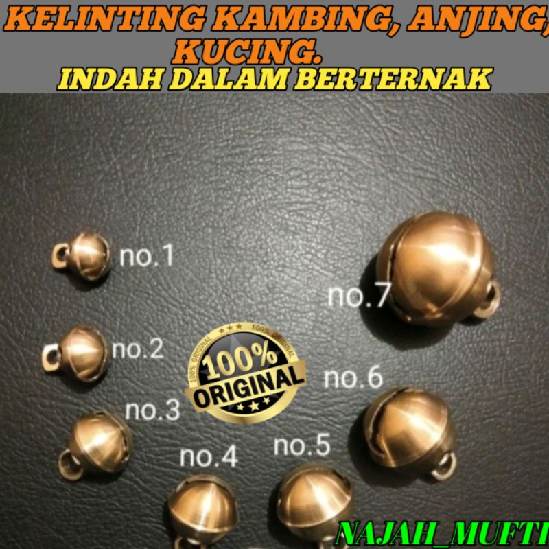 KLINTING KAMBING, ANJING, DOMBA.