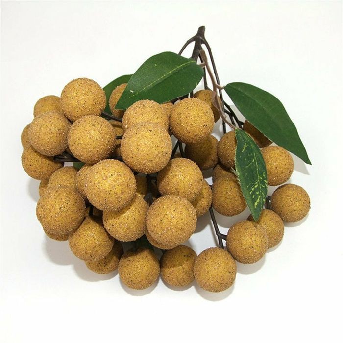 

Unik Buah lengkeng/buah longan/buah klengkeng/longan hias/buah pajangan Berkualitas