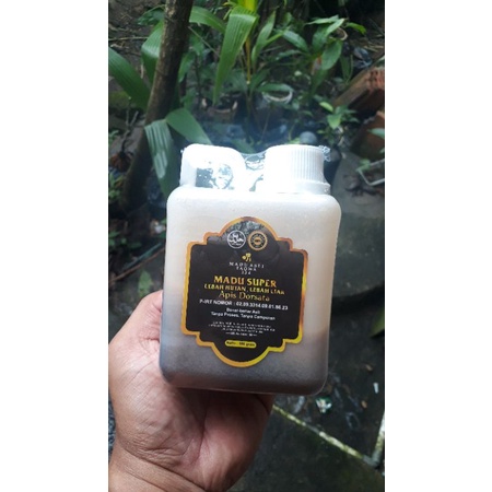 

madu hutan sialang madu sumatra murni 100% bergaransi