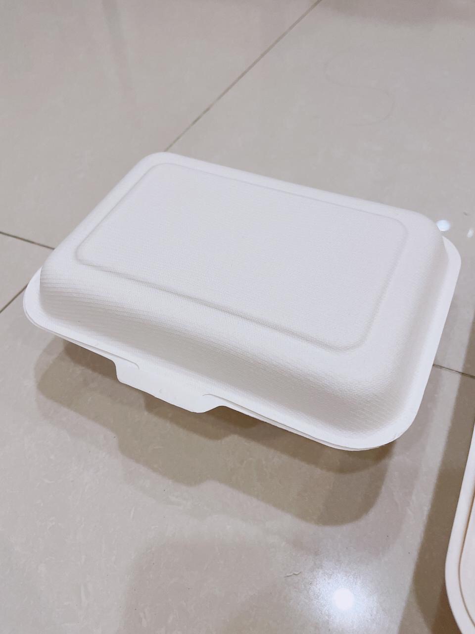 Bagasse Kotak 600ml Lunchbox Takeaway Sugarcane Serat Tebu Eco Friendly