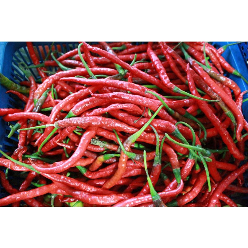 

CABE MERAH KRITING 250G