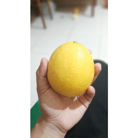 

Lemon Grade C 1/2 KG (Fresh) J'Lemon