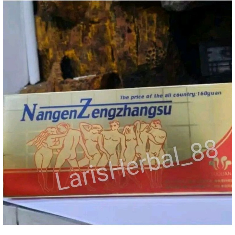 NANGEN ZENGZHANGZU original