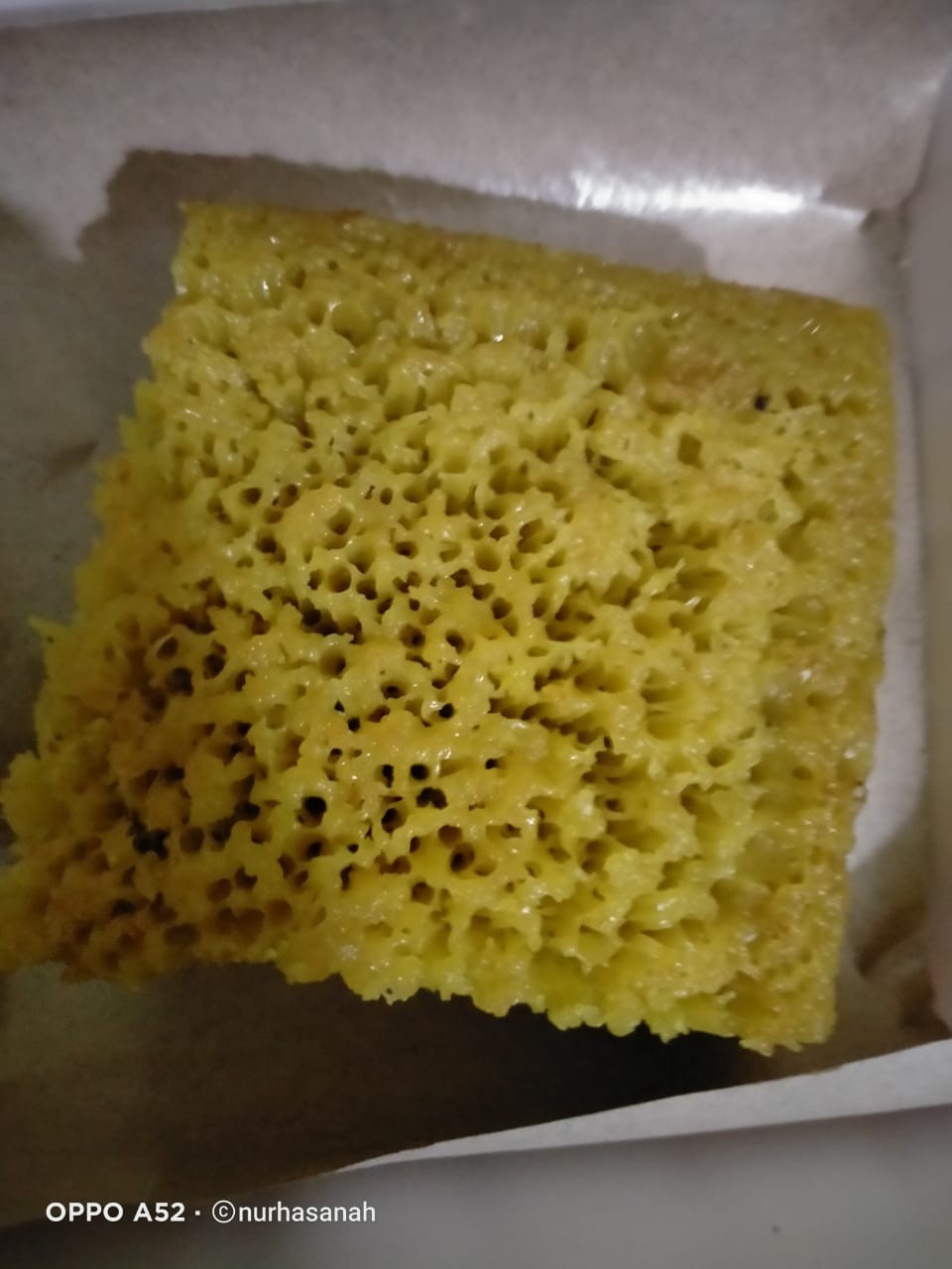 Spons Bulat Lap 2 Sisi Multifungsi Spon Piring Dan Lap