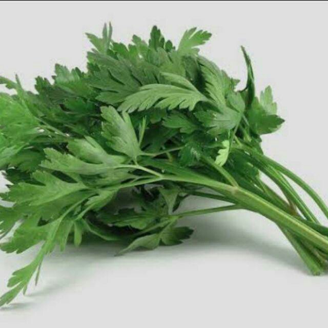 

Seledri / Sledri / Selederi / Sayur Seledri sayuran online