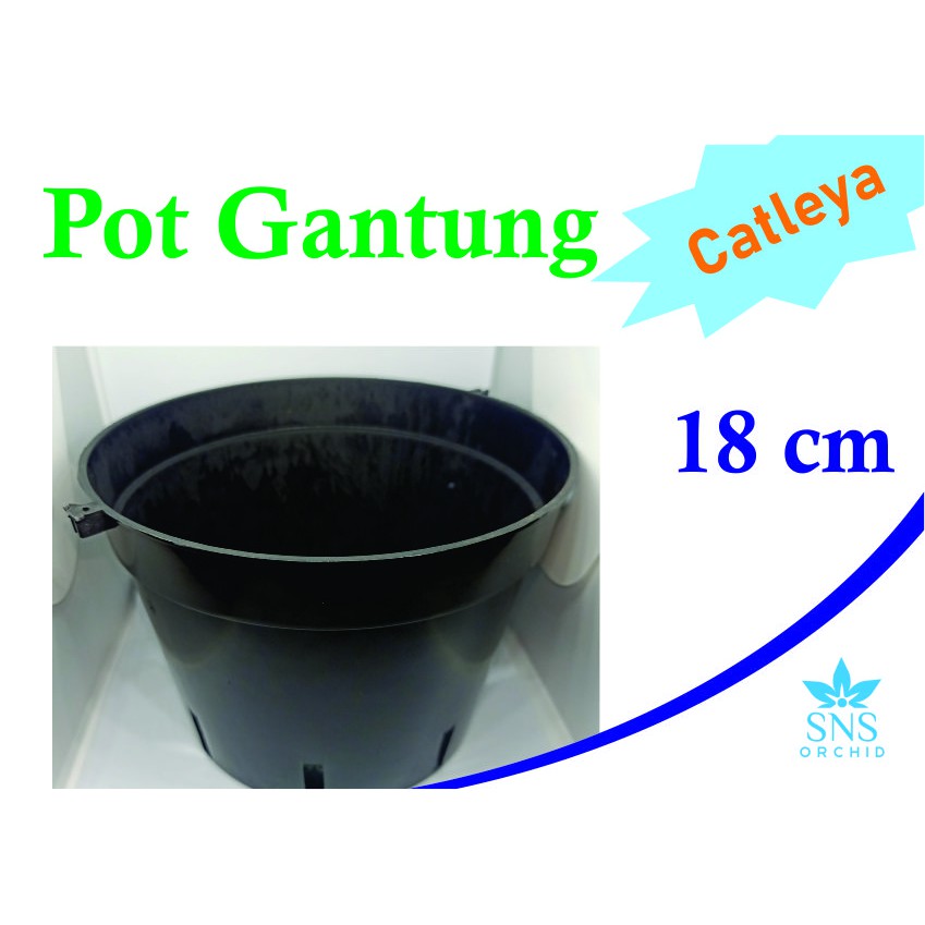 Pot Gantung 18 cm Bunga Anggrek Catleya Dendro Bulan Vanda Cattleya Plastik Bulat Hitam Tanaman Hias