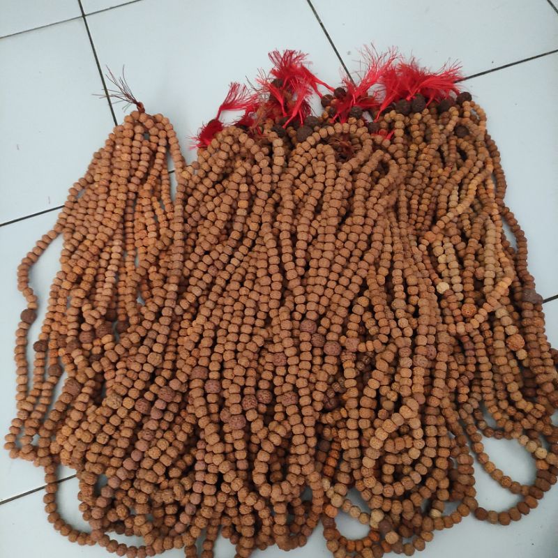 100 tasbih jenitri rudraksha 99 besar