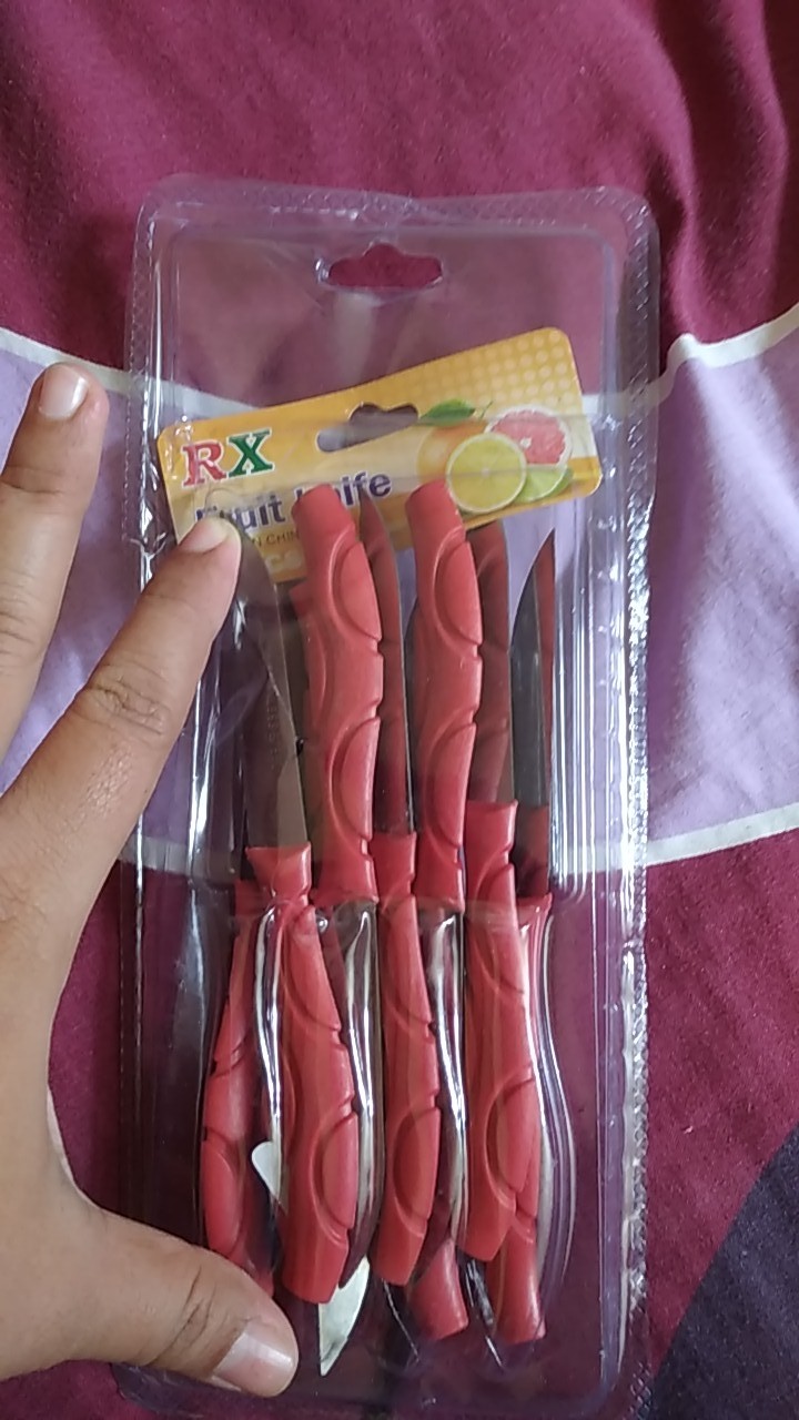 Pisau Buah Stainless Set Isi 12 Pcs Pisau Dapur Mini Pisau