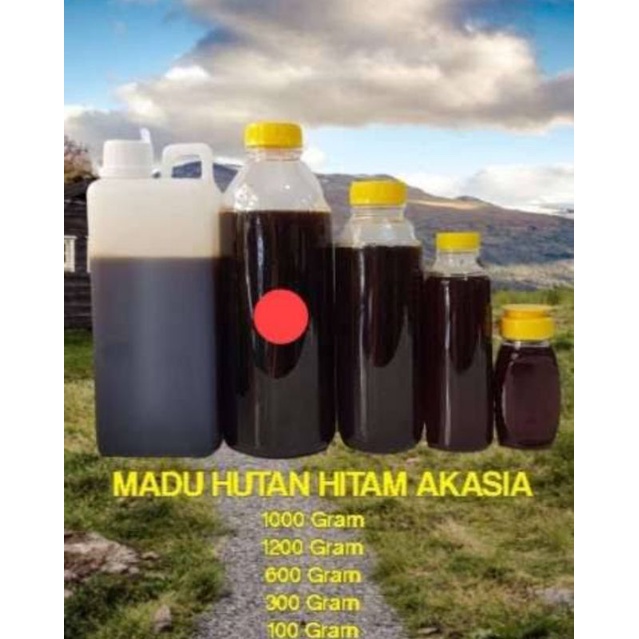 MADU HUTAN ASLI 100% MADU ASLI HUTAN SUMATERA