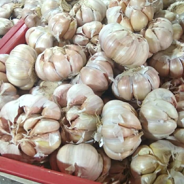 

(Update HARGA) Bawang Putih Bersih