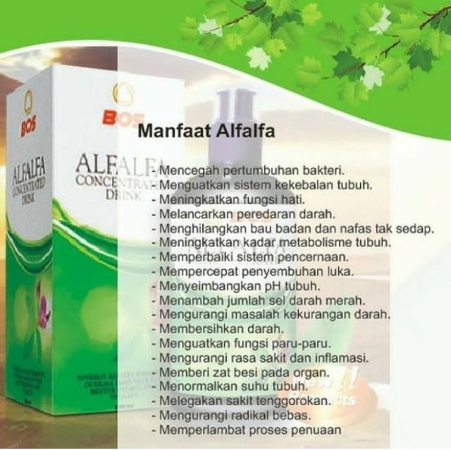 Inilah Manfaat Herbal Bee Untuk Promil 
