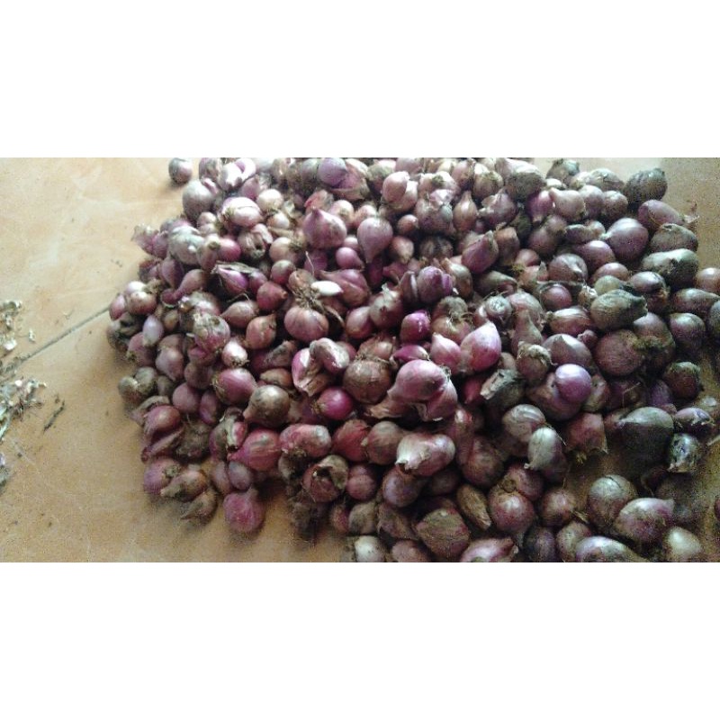 

bawang merah ukuran campur 1kg