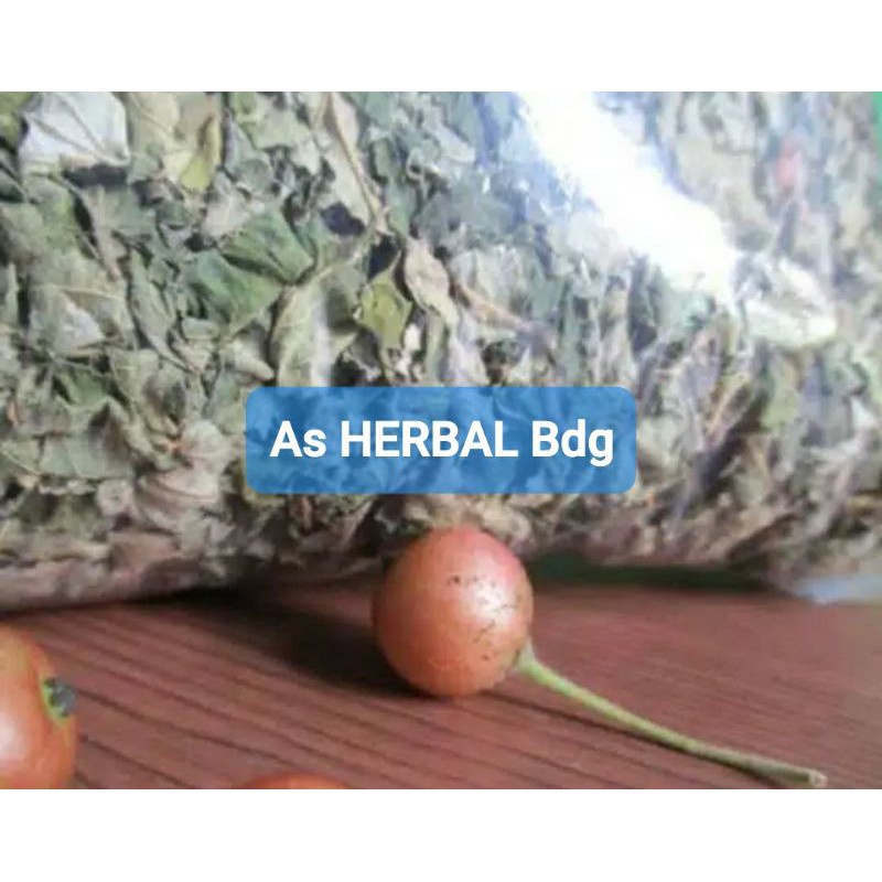 

Daun kersen kering paket hemat 500 gram-az