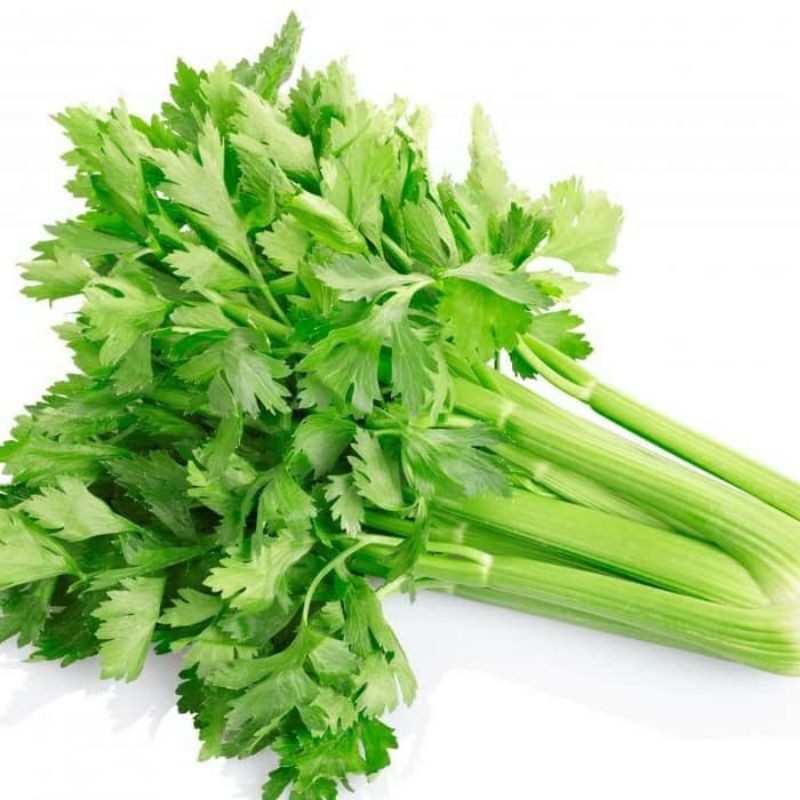 

Celery Stick Batang Lokal/import 1 kg lebih ++