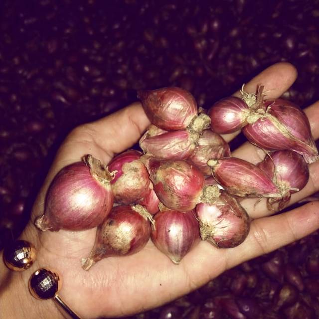 

Bawang merah kering campur 1kg 50.000 #bawang #makanan #murah #bawang merah