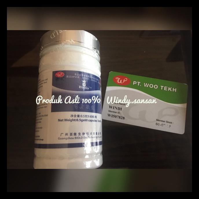 (Cod )Biolo Wsc Windy Asli 100%