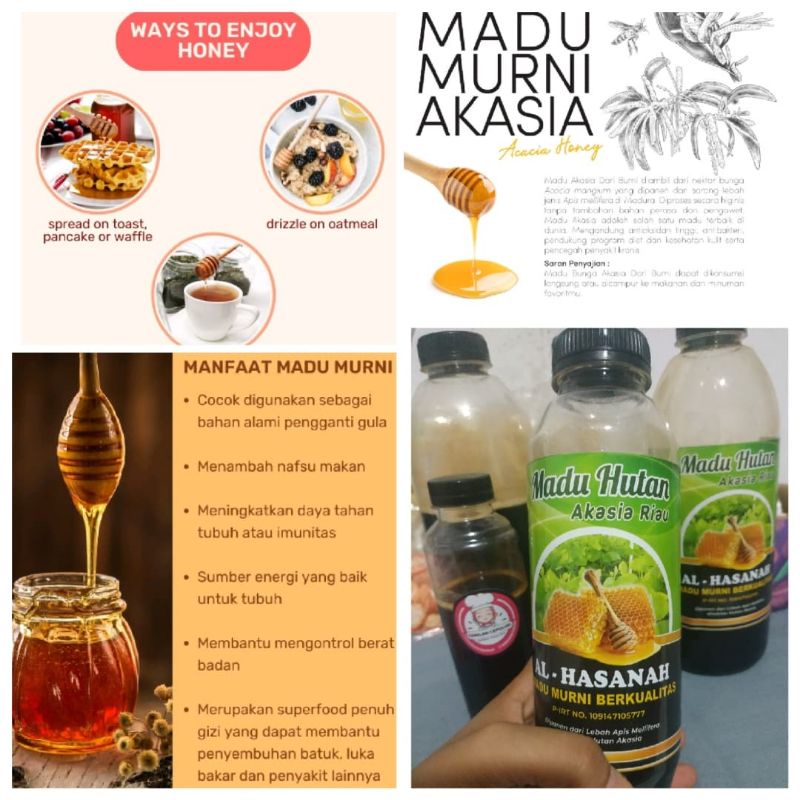 

Madu hutan akasia