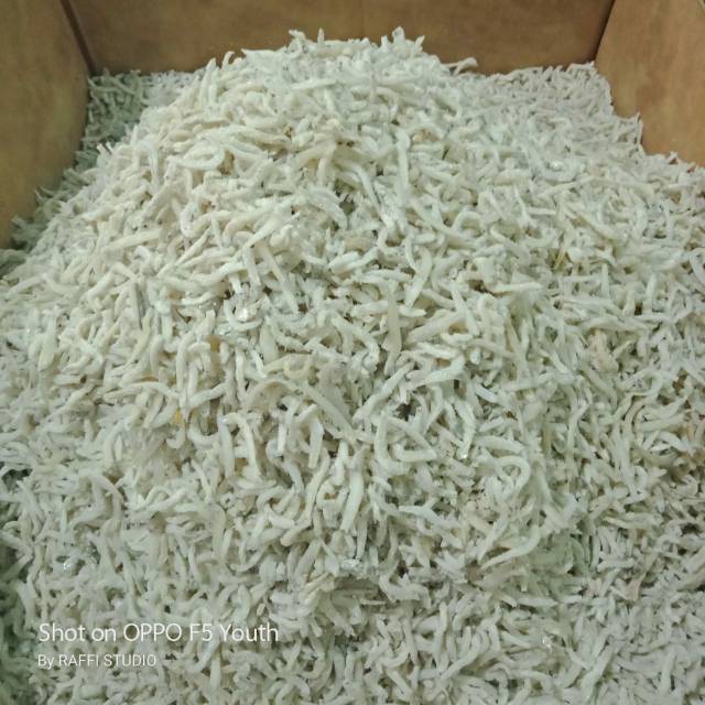 

Teri nasi