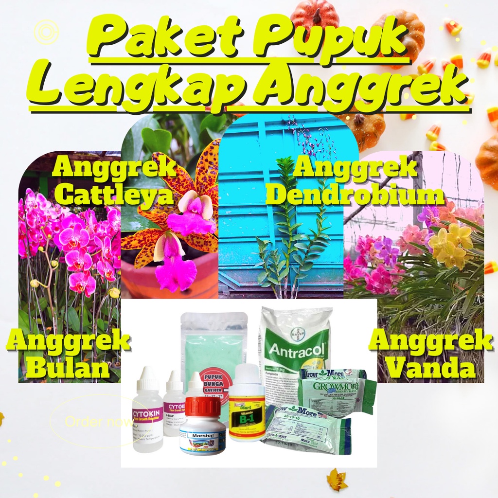 Paket Pupuk Anggrek Lengkap Semua Jenis Anggrek