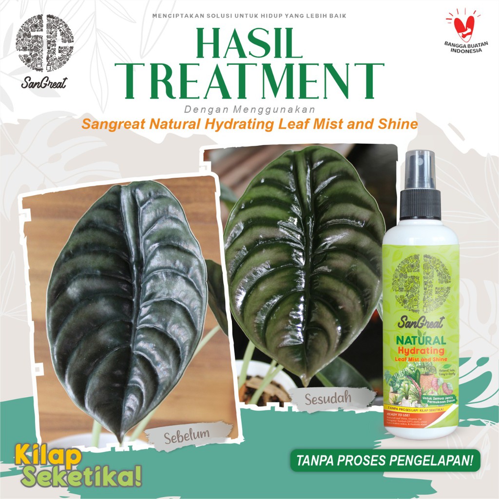 Semir kilap daun Water Base + vitamin Tanpa Pengelapan SanGreat Hydrating Leaf Mist &amp; shine 250 ml