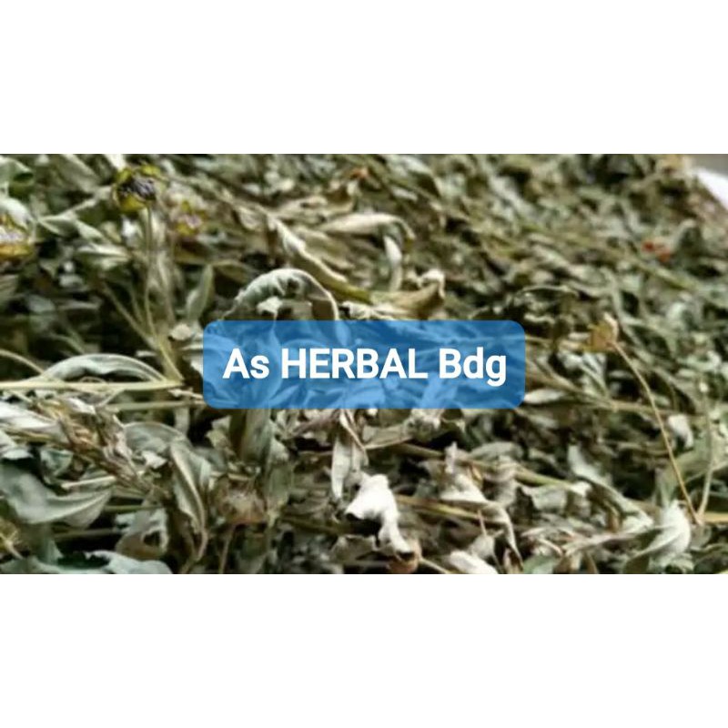 

Daun Sidaguri kering kemasan 200 gram-az