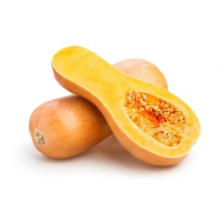 

Labu Butternut Organik 1 buah (Small) 400-600 gr