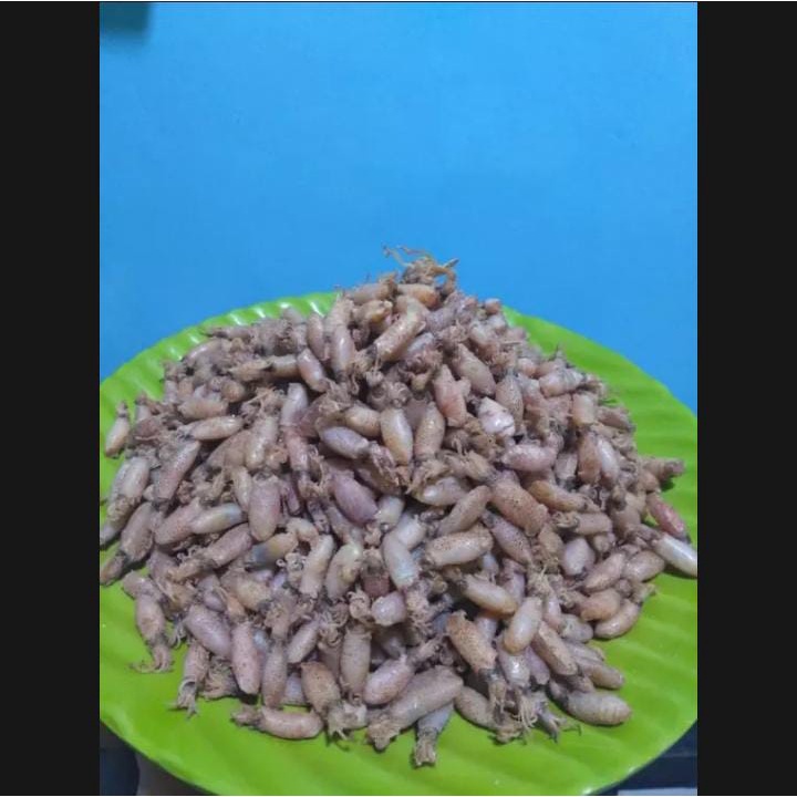 Ikan Asin Baby Cumi 1Kg Murah