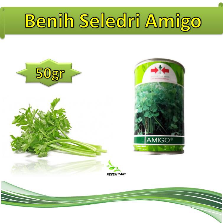 Benih Seledri Amigo 50gr Kaleng Panah Merah