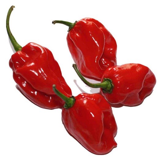 Benih Cabe Red Habanero