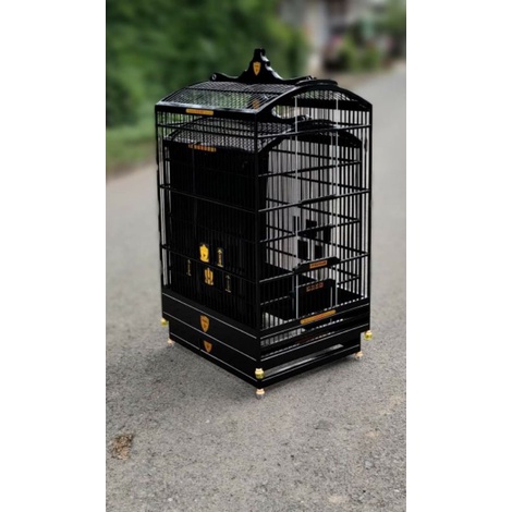 BELUM DI CAT sangkar burung replika ambrukan radja plong