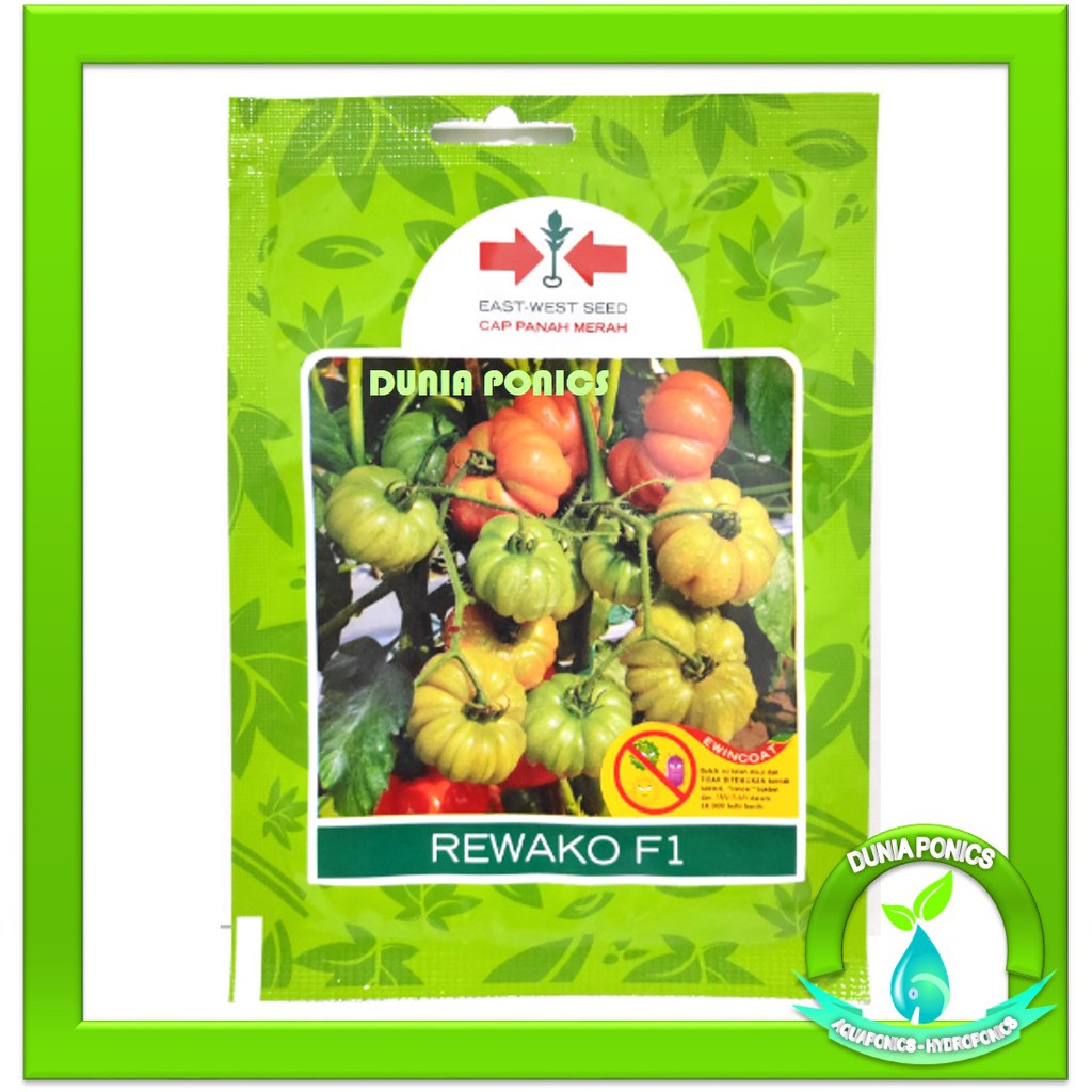 Benih Bibit Tomat Mawar Hibrida REWAKO F1 Cap Panah Merah 150 Butir