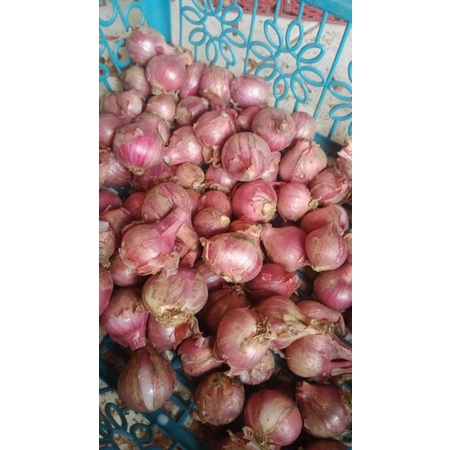 

BAWANG MERAH LOKAL BALI KARET/ BAWANG BATU 1KG