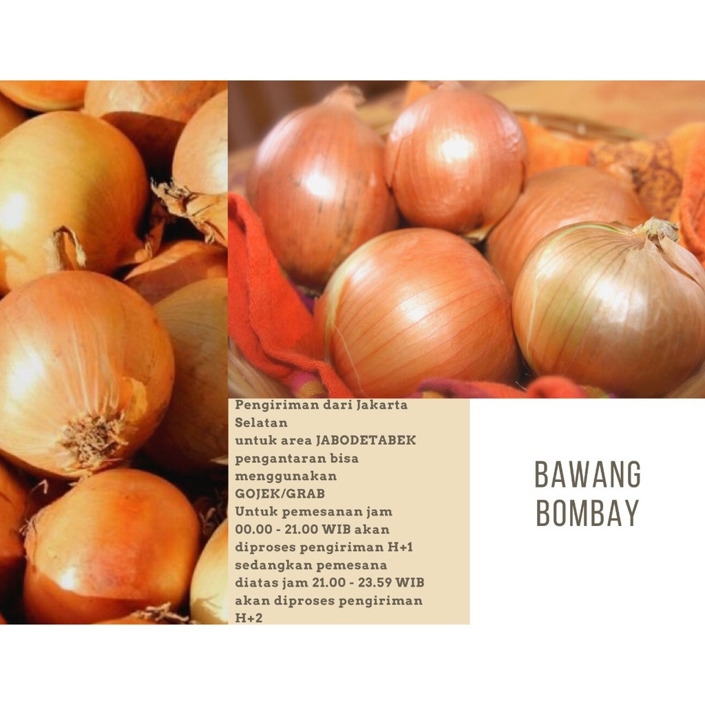 Bawang Bombay 1kg / Bawang Bombay New Zealand / Bawang Bombay Imported
