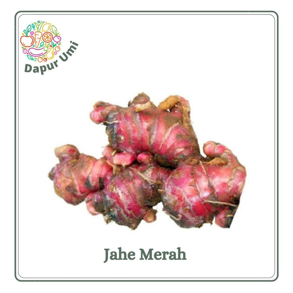 

JAHE MERAH - SAYUR SAYURAN SEGAR PURAWAKARTA