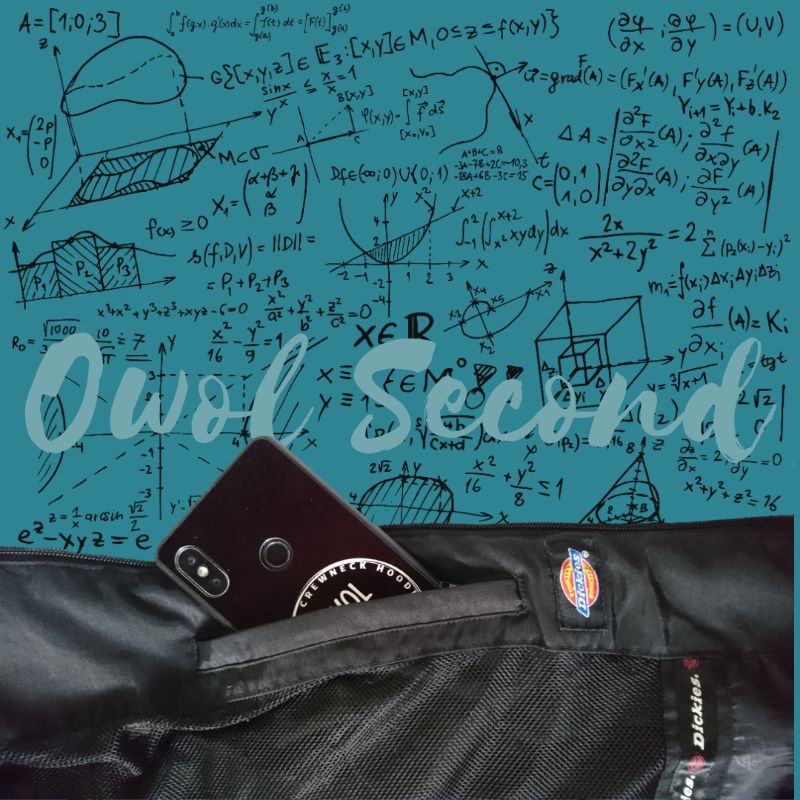 DICKIES Williamson Outdoor original ecwcs jaket gunung